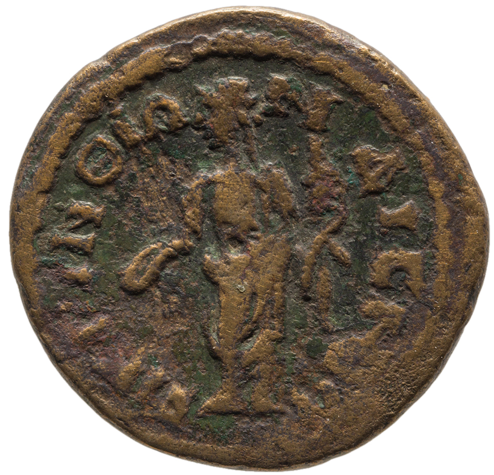 реверс CN Type cn.perinthus.1_ed.541