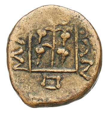 реверс CN Type cn.maroneia.1_ed.207