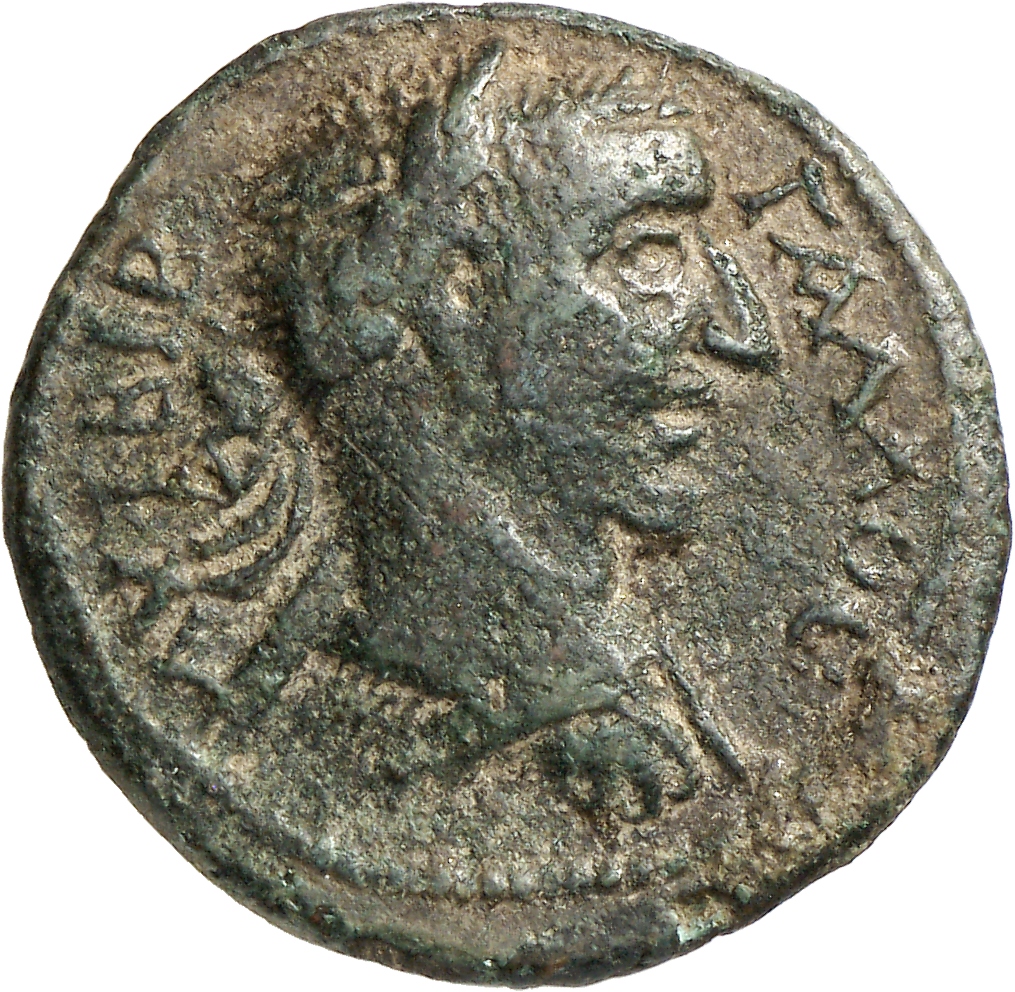 CN Type cn.maroneia.1_ed.440, аверс, cn-coins