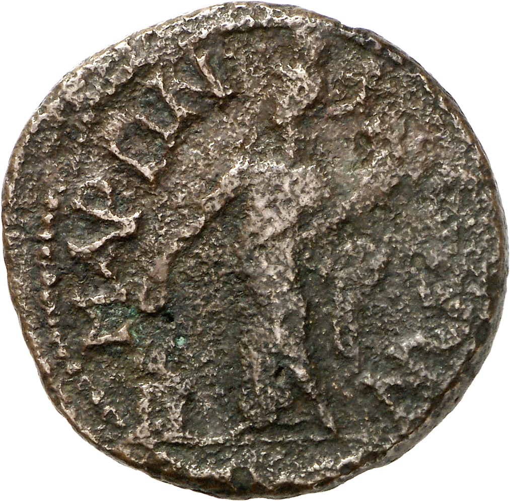реверс CN Type cn.maroneia.1_ed.445