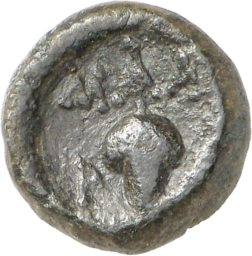 реверс CN Type cn.maroneia.1_ed.139