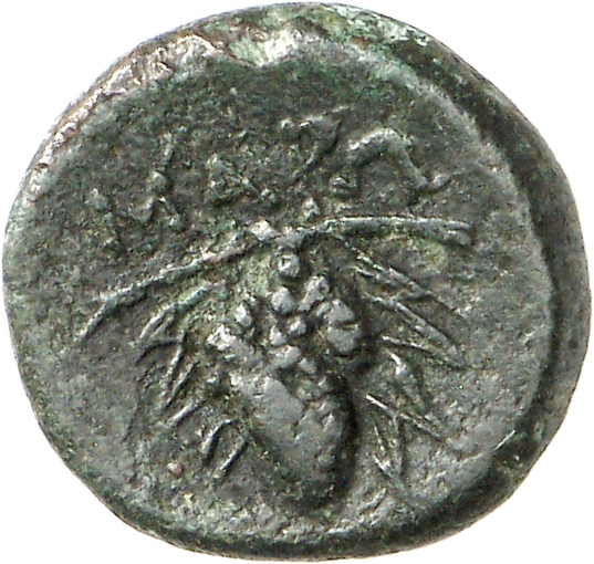 реверс CN Type cn.maroneia.1_ed.255
