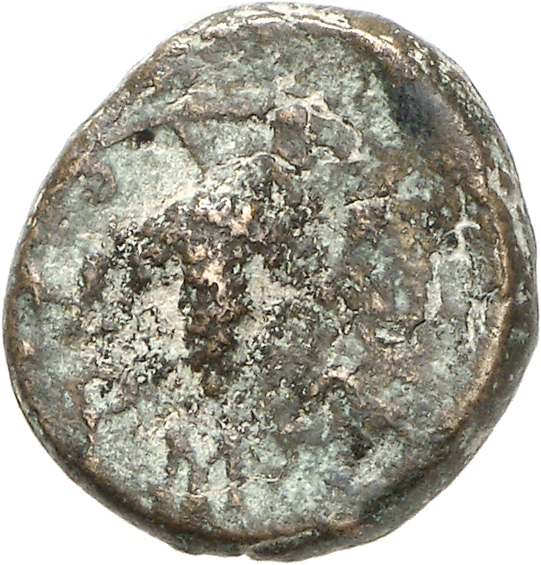 реверс CN Type cn.maroneia.1_ed.251