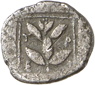 реверс CN Type cn.trierus.1_ed.3