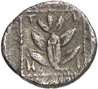 реверс CN Type cn.trierus.1_ed.4