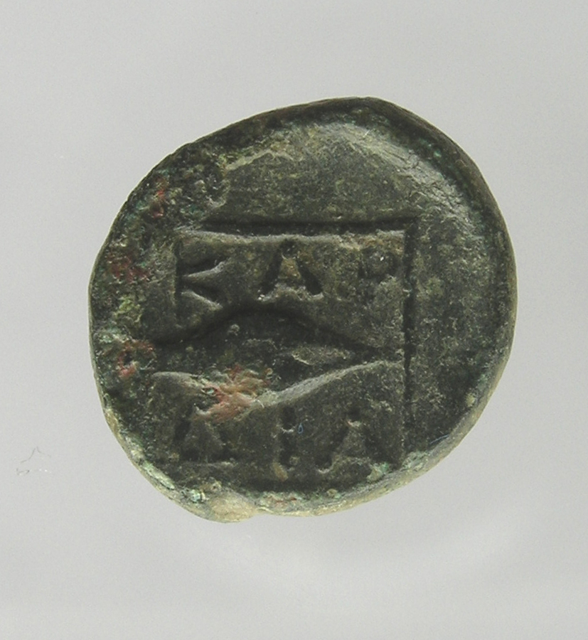 реверс CN Type cn.cardia.2_ed.27