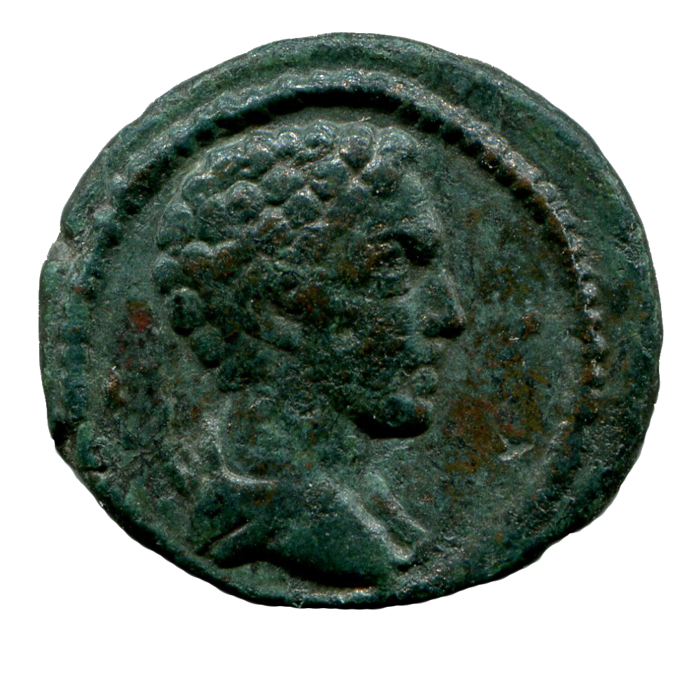 аверс CN Type cn.aenus.1_ed.182