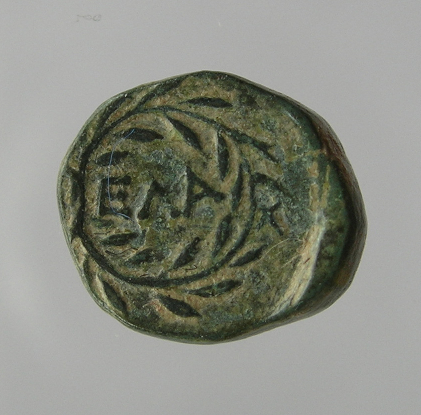 реверс CN Type cn.elaeus.1_ed.19