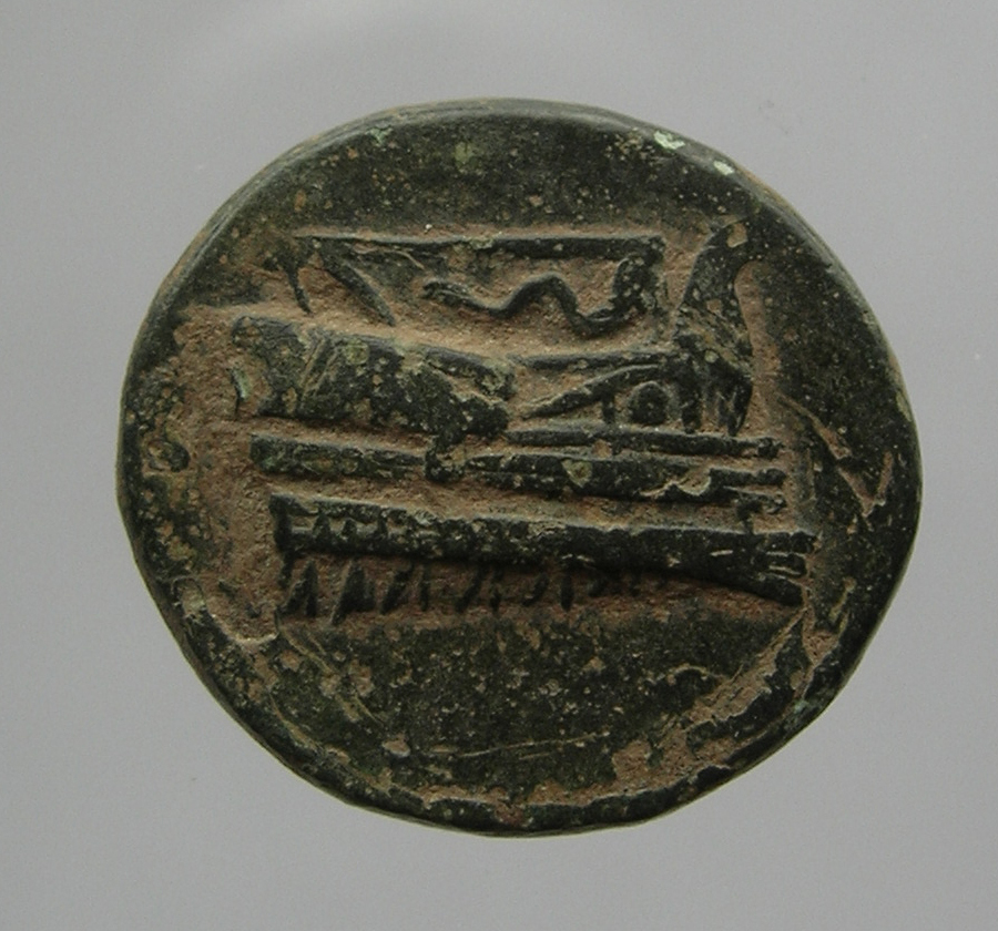 аверс CN Type cn.elaeus.1_ed.5