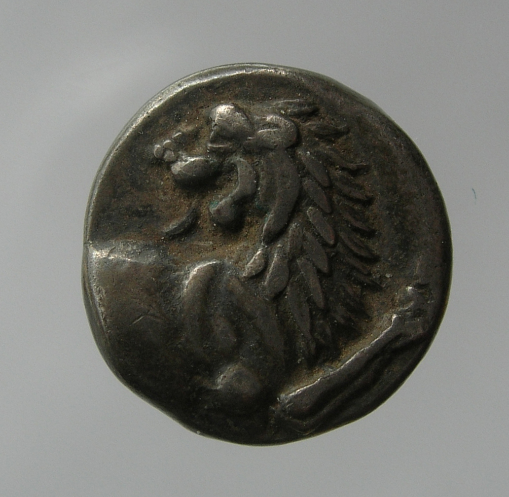 CN Type cn.chersonesus_thrace.1_ed.96, аверс, cn-coins