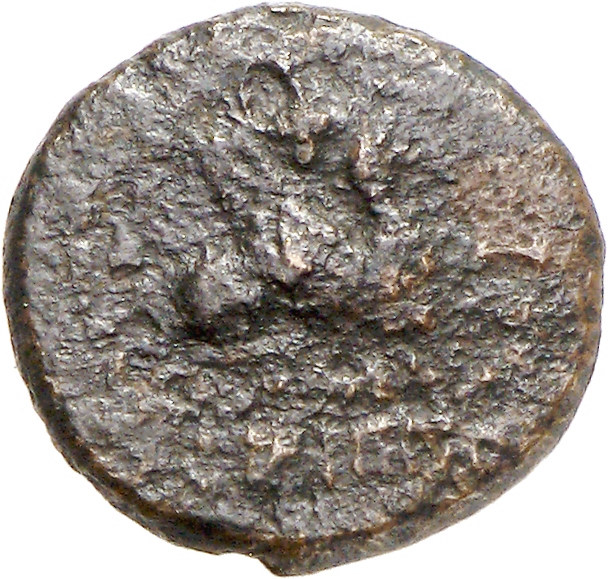 CN Type cn.abdera_thrace.1_ed.292, аверс, cn-coins