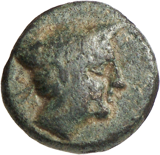 CN Type cn.abdera_thrace.1_ed.328, аверс, cn-coins