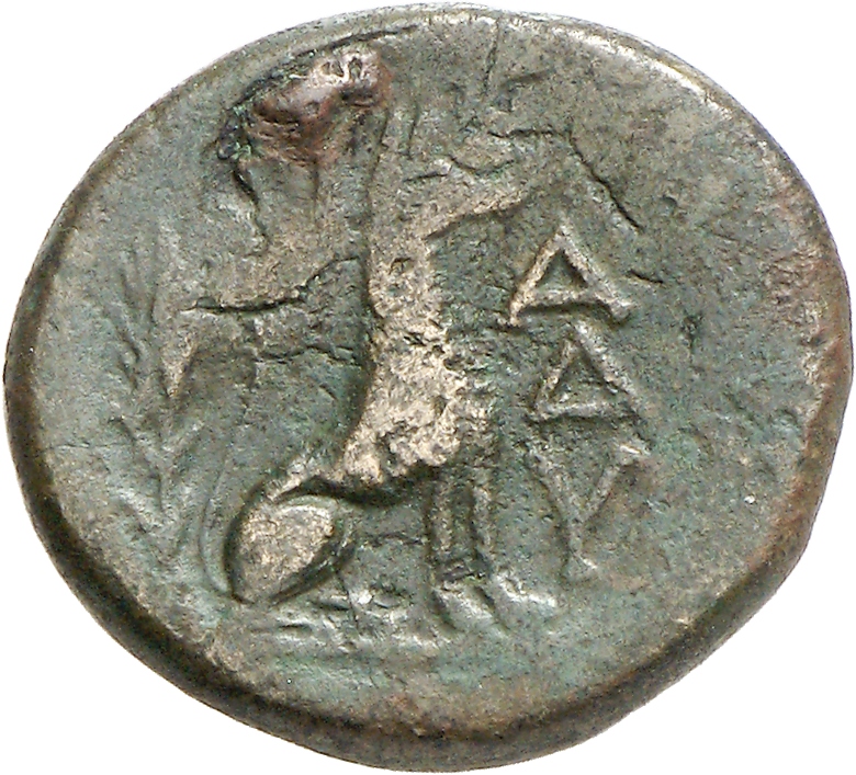 реверс CN Type cn.madytus.1_ed.10