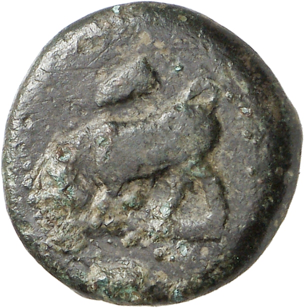 CN Type cn.madytus.1_ed.6, аверс, cn-coins