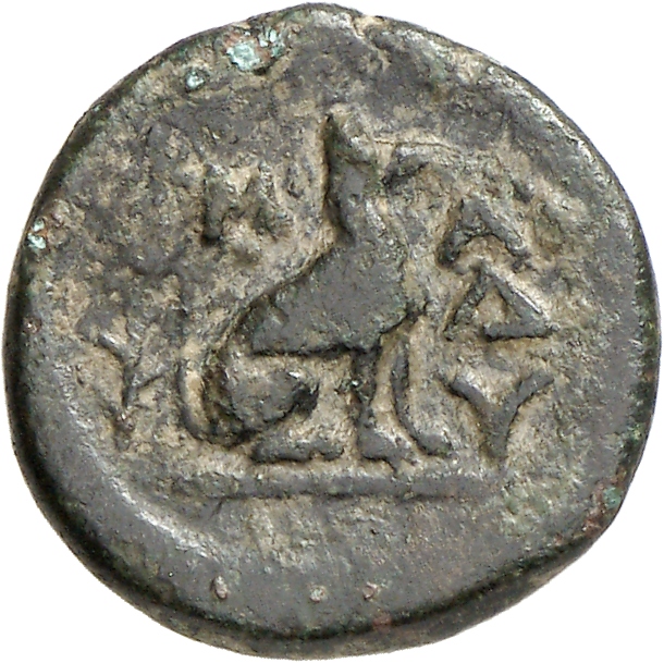 CN Type cn.madytus.1_ed.6, реверс, cn-coins