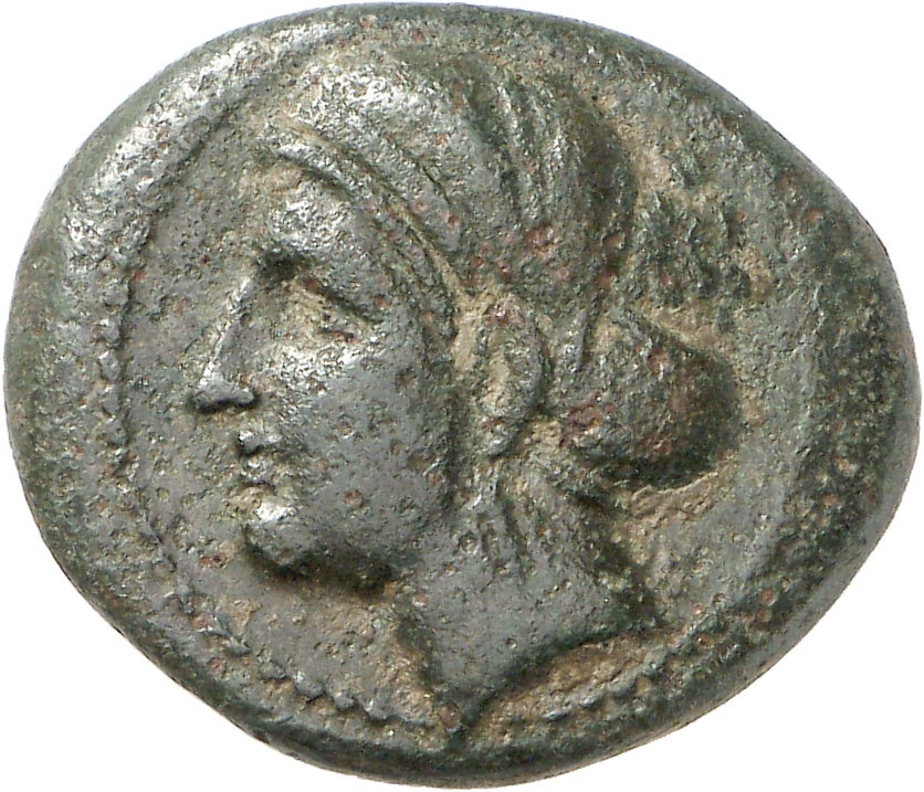 CN Type cn.sestus.1_ed.6, аверс, cn-coins