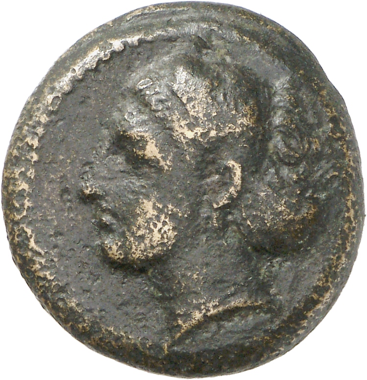 CN Type cn.sestus.1_ed.6, аверс, cn-coins