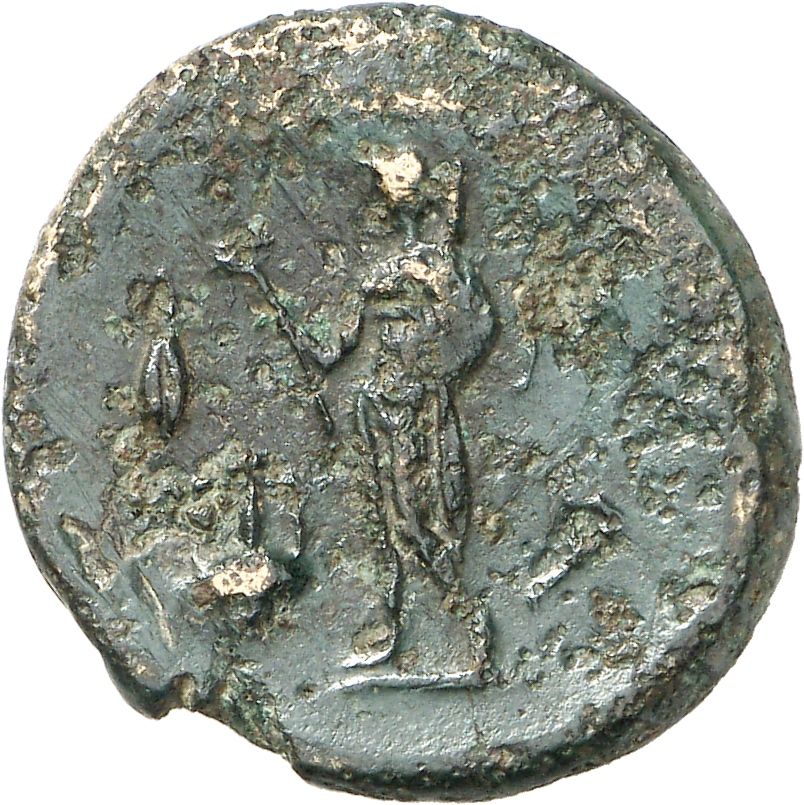 реверс CN Type cn.sestus.1_ed.8