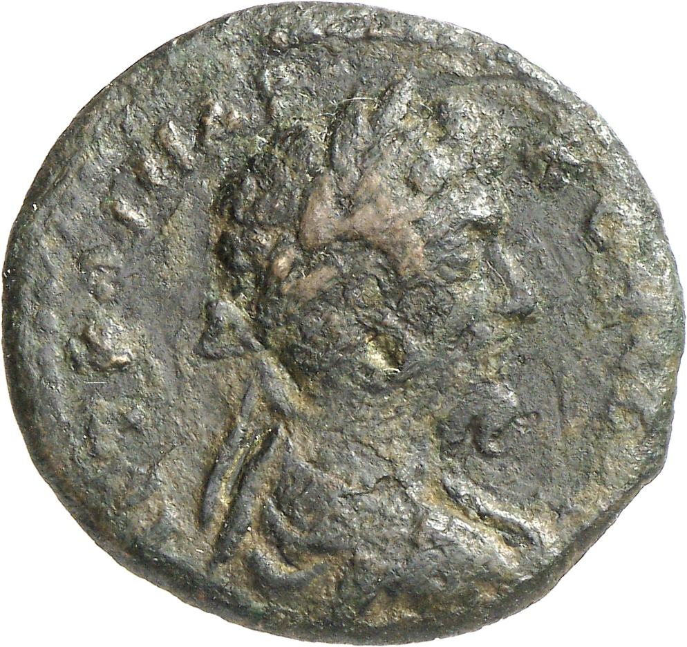 аверс CN Type cn.elaeus.1_ed.24