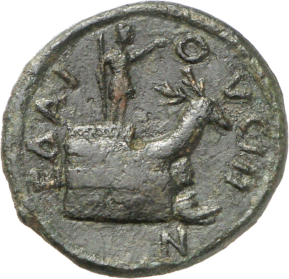 реверс CN Type cn.elaeus.1_ed.24