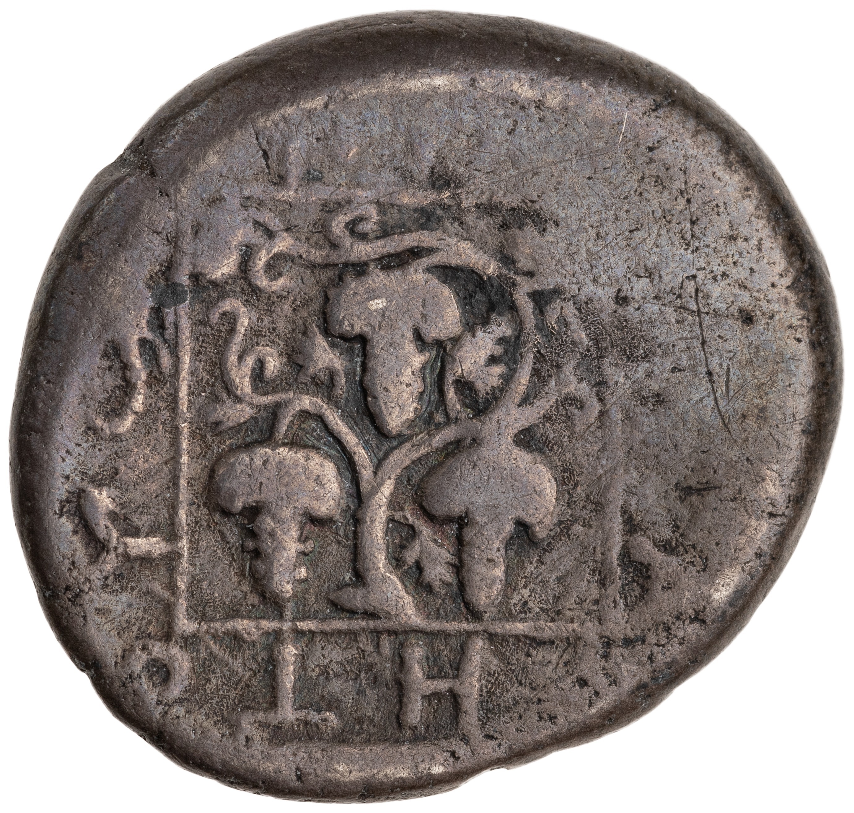 реверс CN Type cn.maroneia.1_ed.159