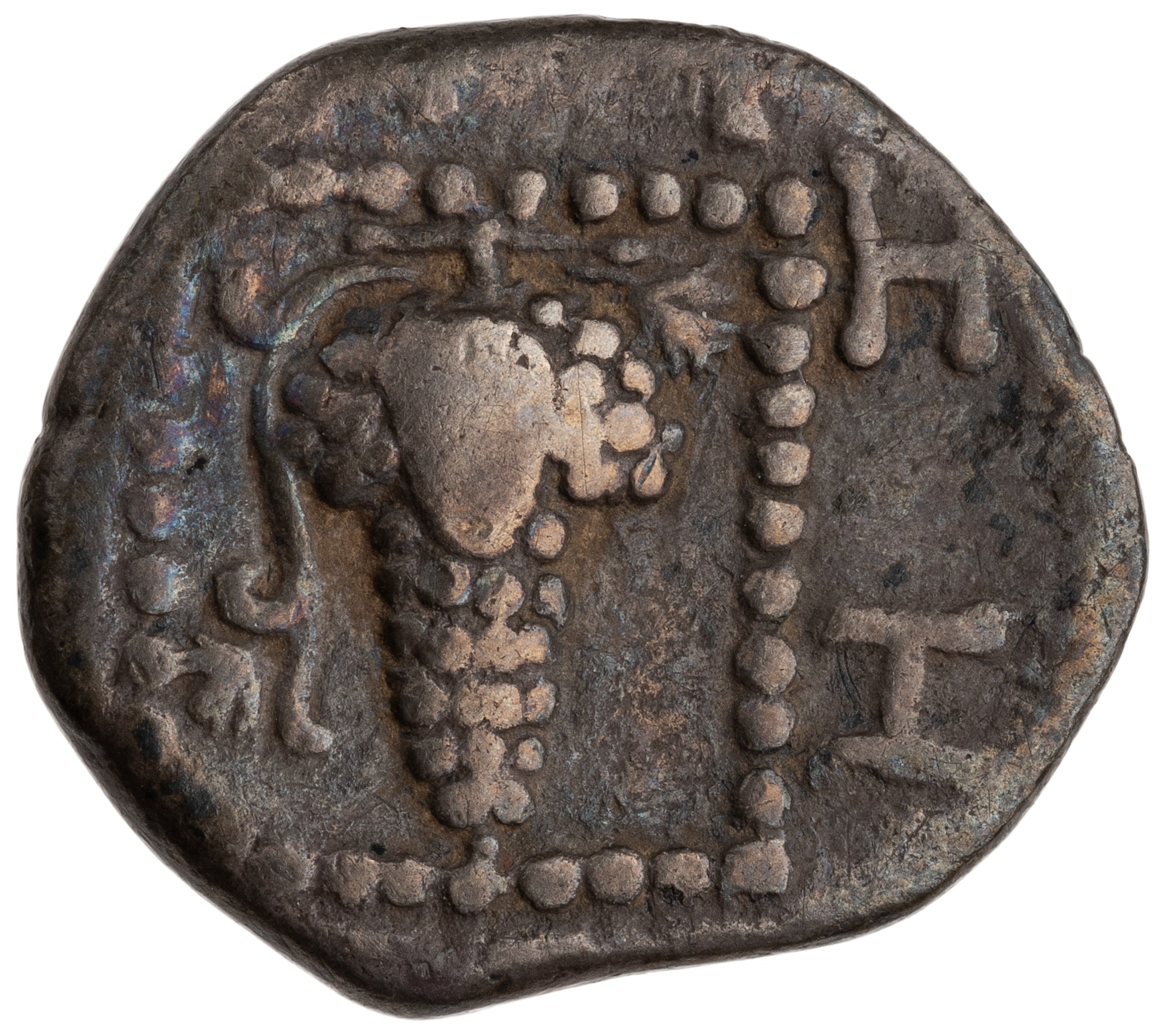 реверс CN Type cn.maroneia.1_ed.181