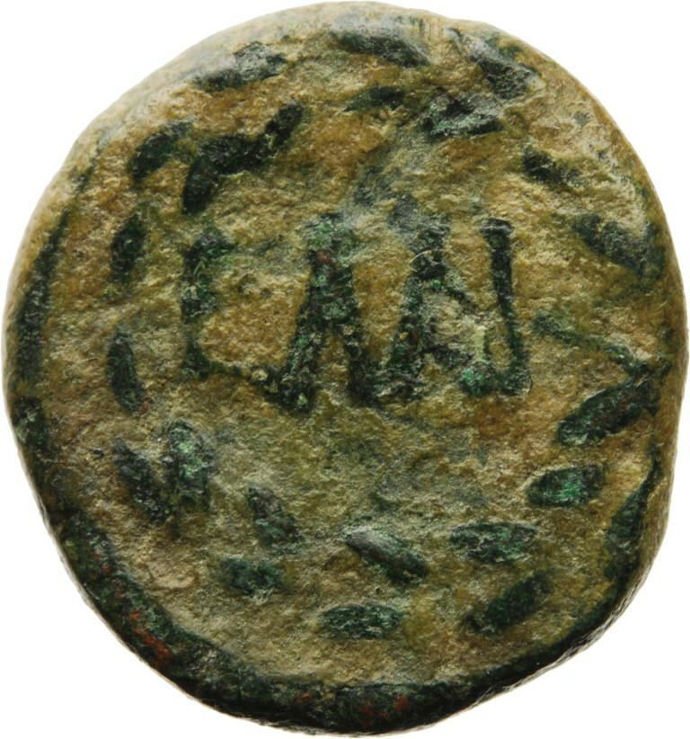 реверс CN Type cn.elaeus.1_ed.12