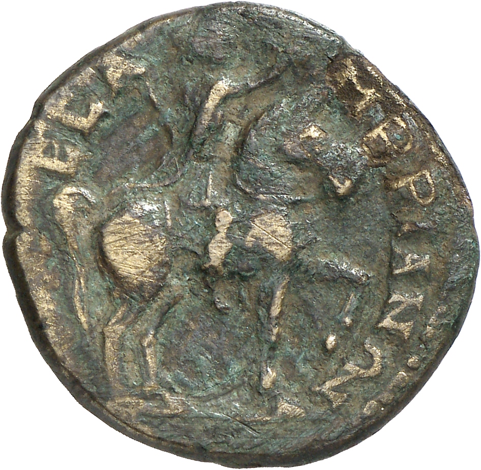 реверс CN Type cn.mesembria.1_ed.255