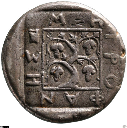реверс CN Type cn.maroneia.1_ed.88