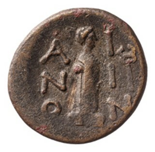 реверс CN Type cn.aenus.1_ed.151