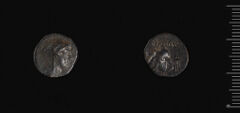 аверс Seleucid Coins (part 2) 1407