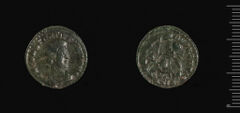 RIC VIII Siscia 351, harvard