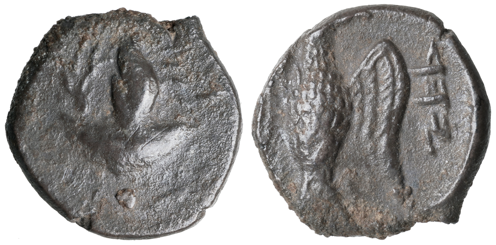 аверс Yehud Coinage 15
