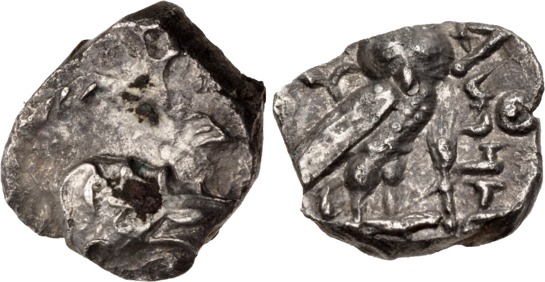 аверс Samarian Coinage 178
