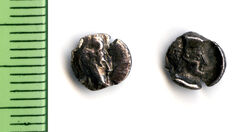 реверс Samarian Coinage 218