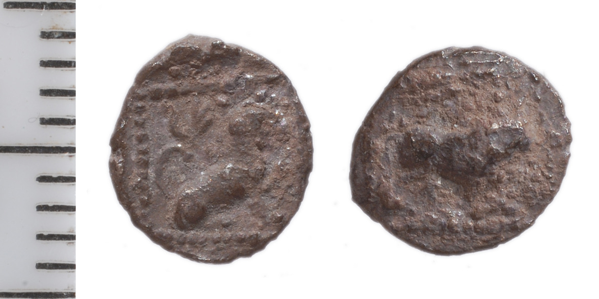 Samarian Coinage 111, аверс, sitnam