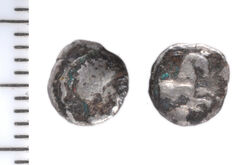 Samarian Coinage 150, реверс, sitnam