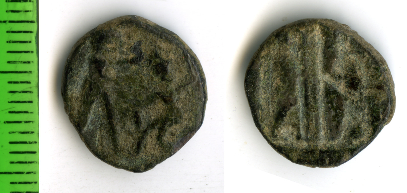 аверс Samarian Coinage 71