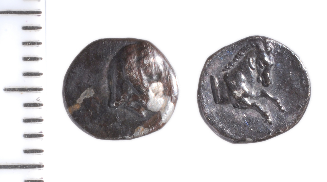 аверс Samarian Coinage 19