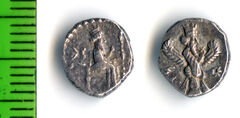 реверс Samarian Coinage 23