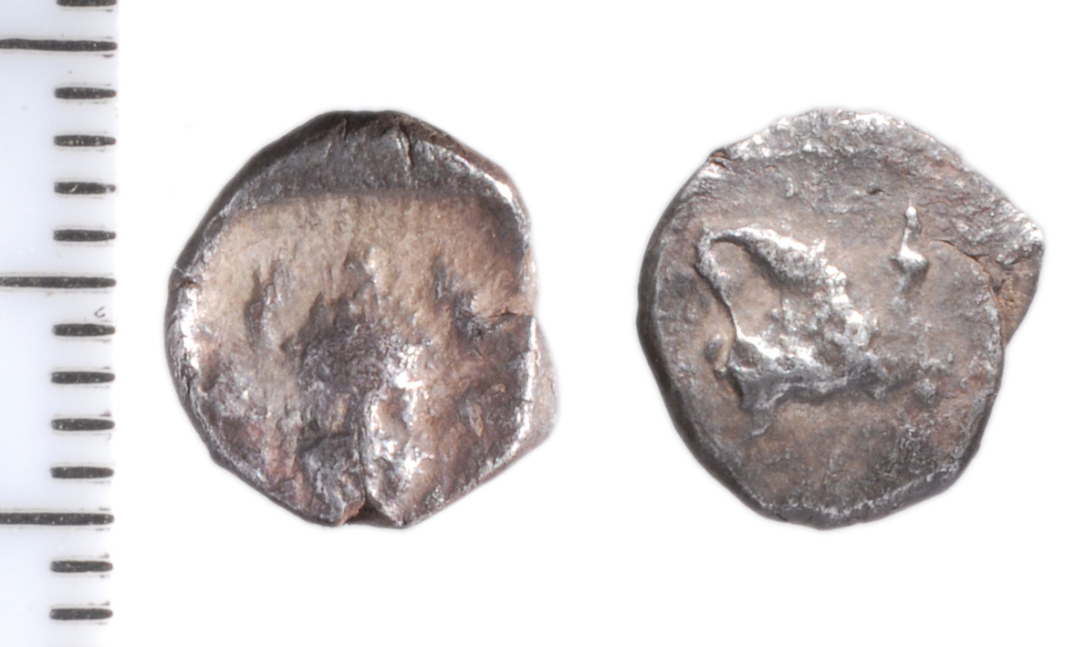 аверс Samarian Coinage 56