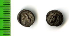 реверс Samarian Coinage 43