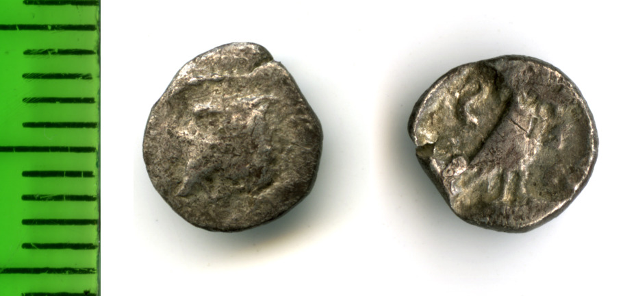 аверс Samarian Coinage 70