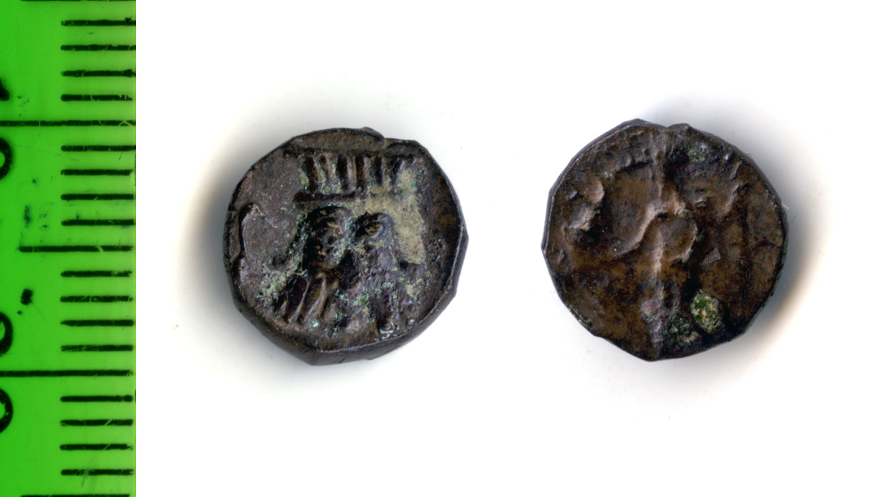 Samarian Coinage 174, аверс, sitnam
