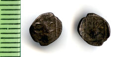 реверс Samarian Coinage 64