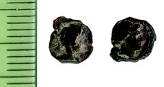 Samarian Coinage 11, реверс, sitnam