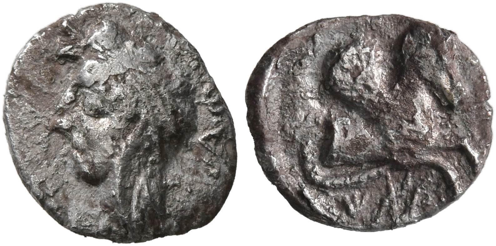 Samarian Coinage 39, аверс, sitnam