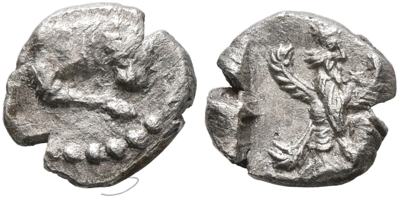 аверс Samarian Coinage 213