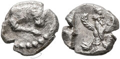 реверс Samarian Coinage 213