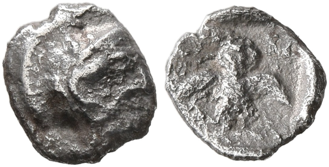аверс Samarian Coinage 113